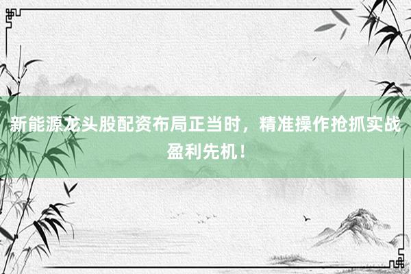新能源龙头股配资布局正当时，精准操作抢抓实战盈利先机！